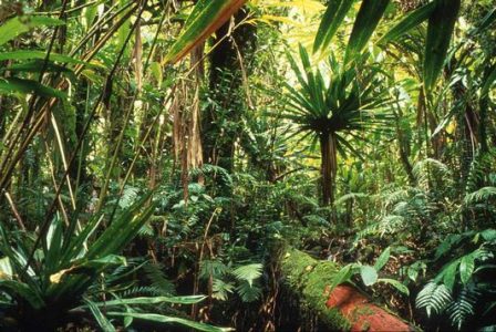 Patrimoine de La Réunion Habiter La Réunion