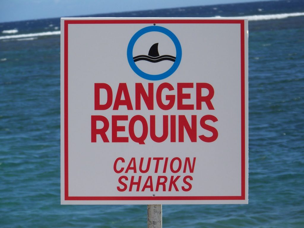 Risque-requin-Réunion
