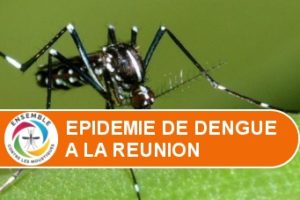 Epidemie-Dengue-Réunion