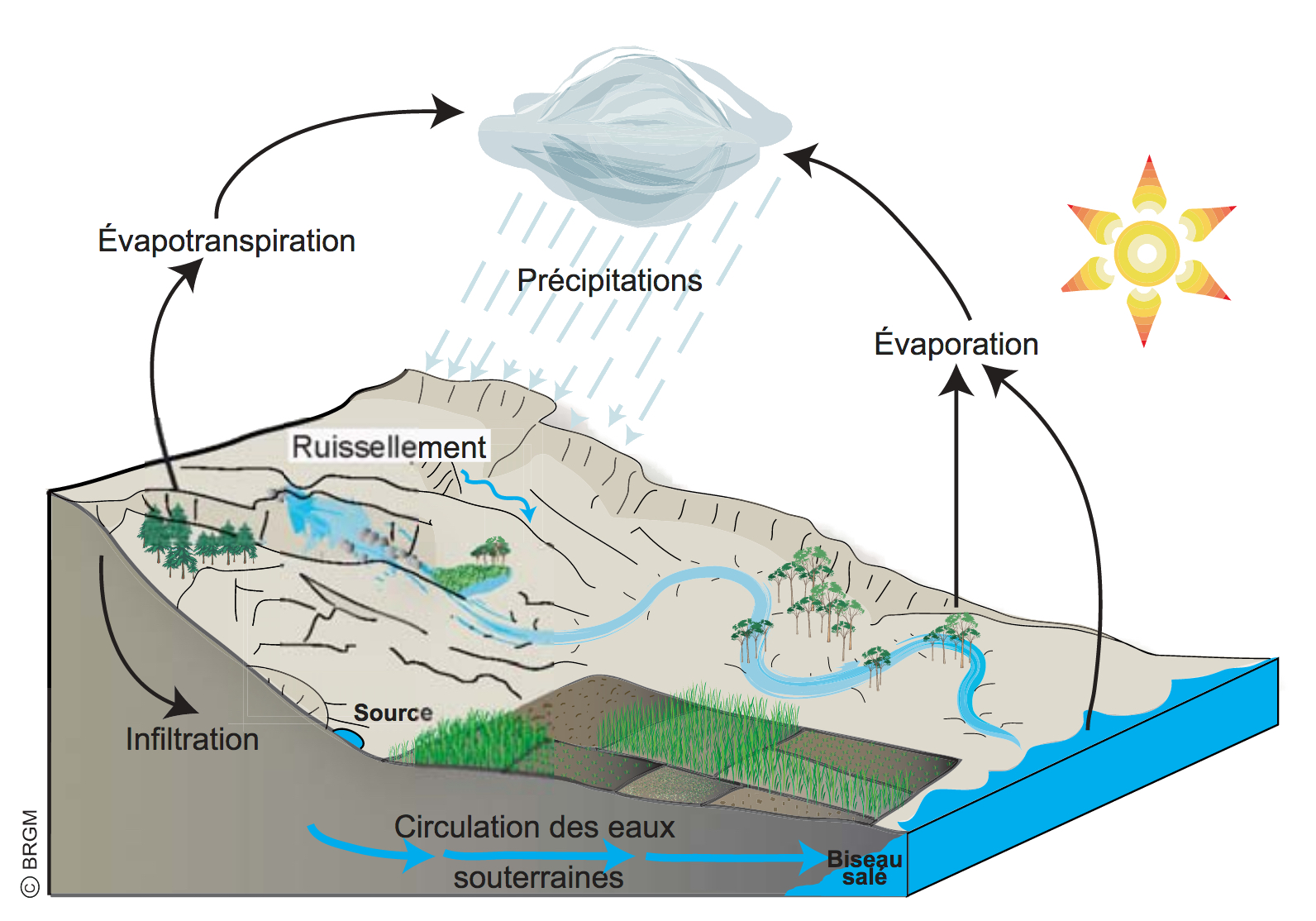 Rivière du mât - Bassin de la Mer, Réunion - 7 Reviews, Map