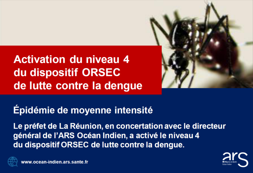 Epidemie-Dengue-Réunion-Niveau-4