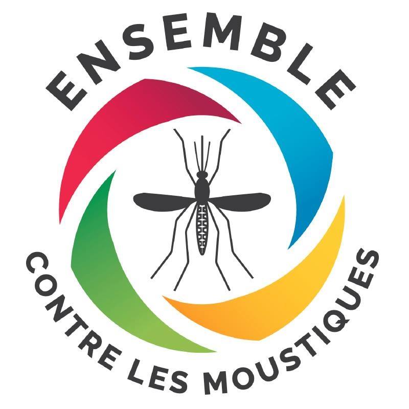 Lire la suite à propos de l’article Epidémie de dengue à La Réunion : inquiétude à l’arrivée de l’été