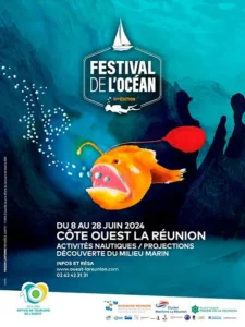 festival ocean
